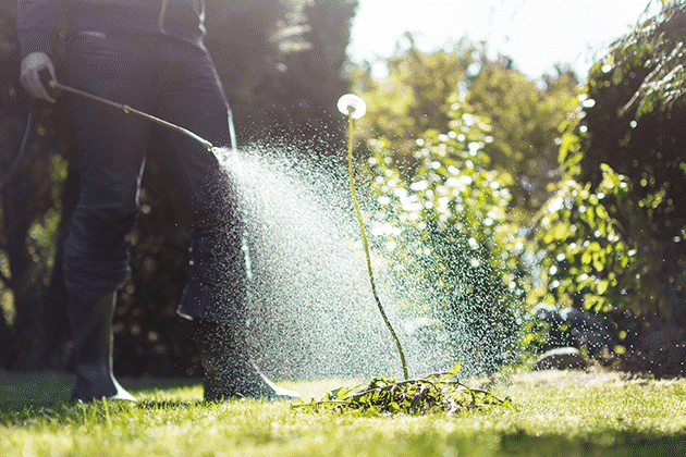 Professional weed control in Kansas City