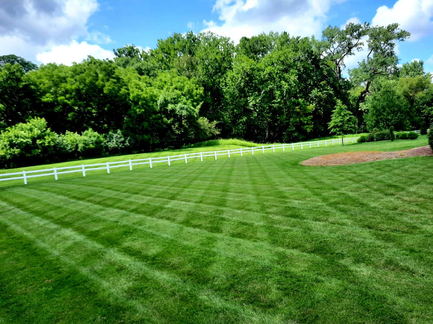Lawn care in Kansas City