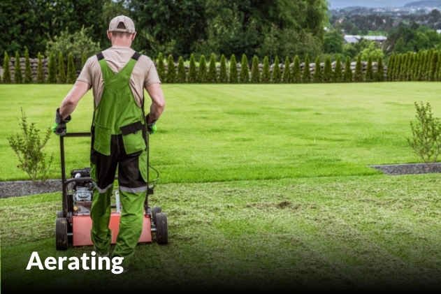 Aerating services in Harrisonville