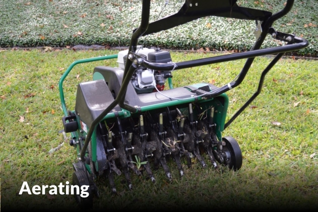 Aerating services in Raymore