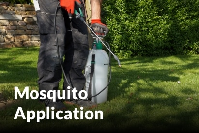 Mosquito Application services in Blue Springs