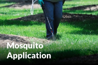 Mosquito Application services in Raymore