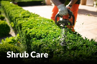 Shrub Care services in Harrisonville