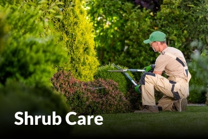 Shrub Care services in Peculiar