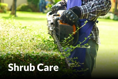 Shrub Care services in Raymore