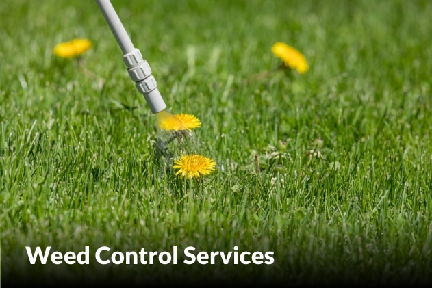 Weed Control Services in Harrisonville